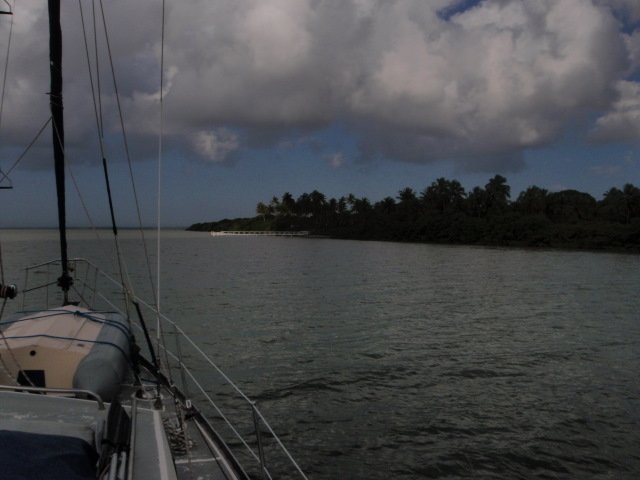 p8140278.jpg