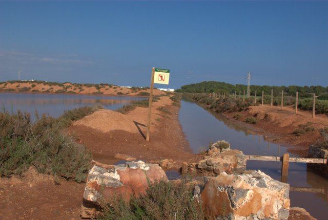 ibiza10.jpg