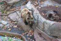 barcelonazoo7_small.jpg
