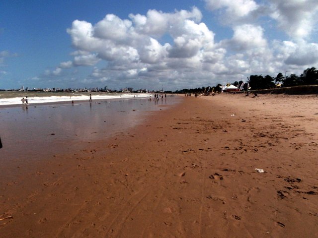 p9120261.jpg