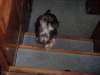 p9140342_small.jpg