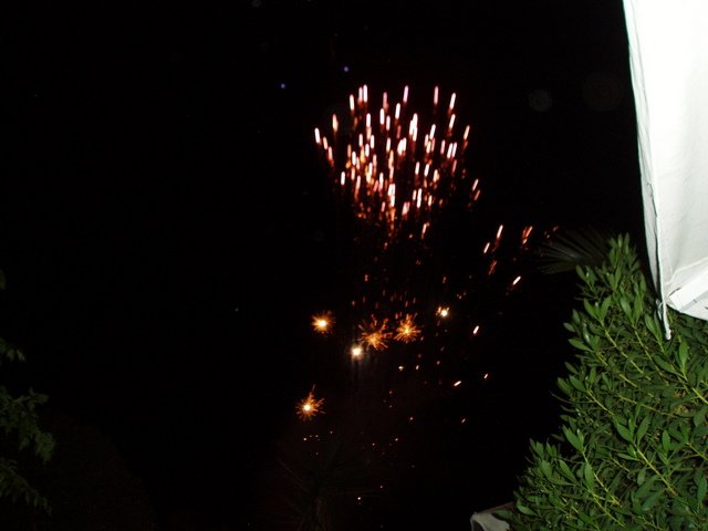 photo19.jpg