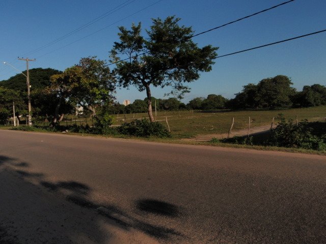 p8150293.jpg
