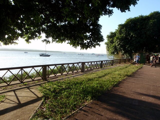p8150300.jpg
