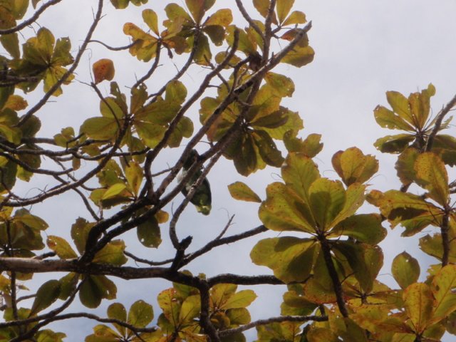 pb230229.jpg