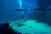 imgp3560_small.jpg