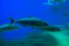imgp3574_small.jpg