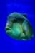 imgp3610_small.jpg