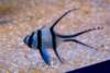 imgp3630_small.jpg