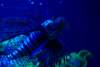 imgp3637_small.jpg