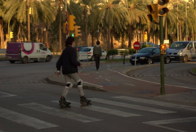 imgp3711.jpg