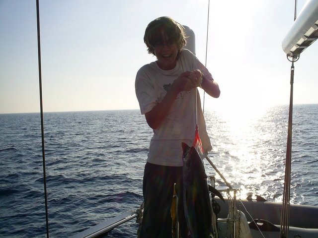 fisk4.jpg
